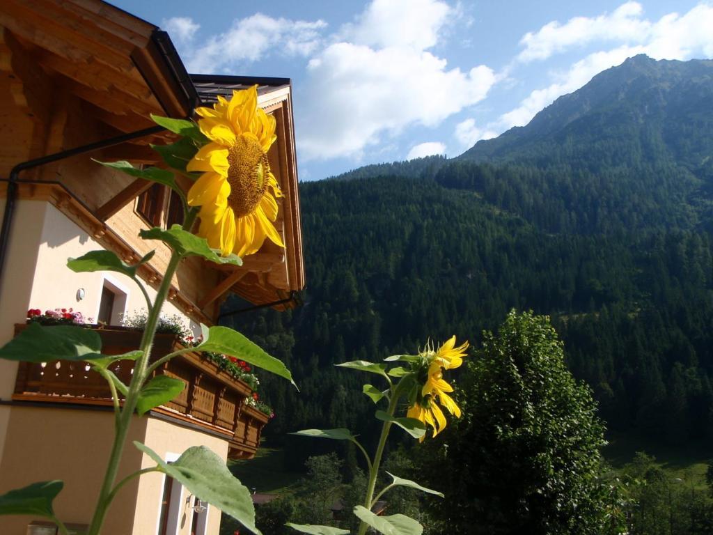 Arche Hof Oebristhof Apartment Kleinarl Bagian luar foto